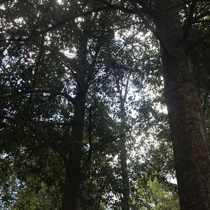 Meet your Posher, Braden